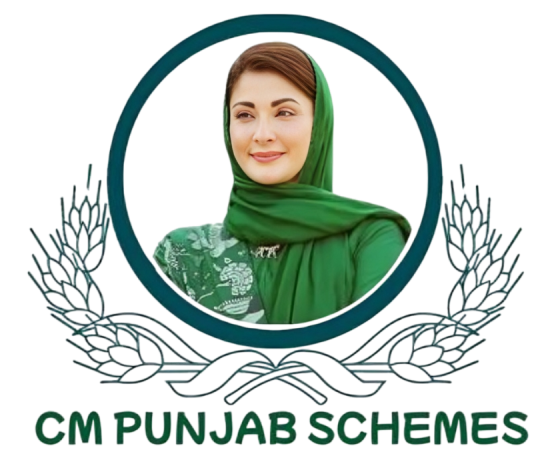 CM Punjab Schemes Logo